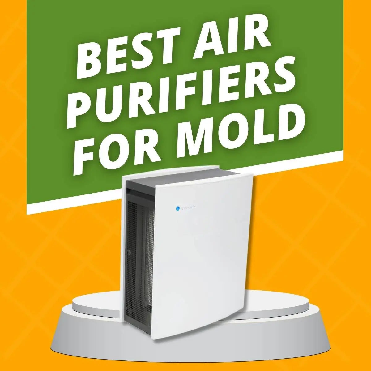 Best Free Air Purifier Advice by Maximus Airy – Your Mold-Free Expert