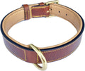 Best Dog Collar Advice by Carlos Collara – Your Pet Accessory Expert