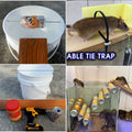 Best Free Mouse Trap Advice by Matthew Mouse – Your Pest Control Expert