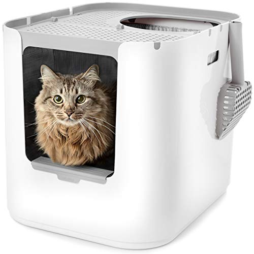 Best Litter Box Advice by Luna Litter – Your Cat Care Expert