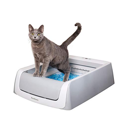 Best Free Advice by Alan Litterman – Your Automatic Litter Box Expert