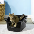 Best Litter Box Advice by Luna Litter – Your Cat Care Expert