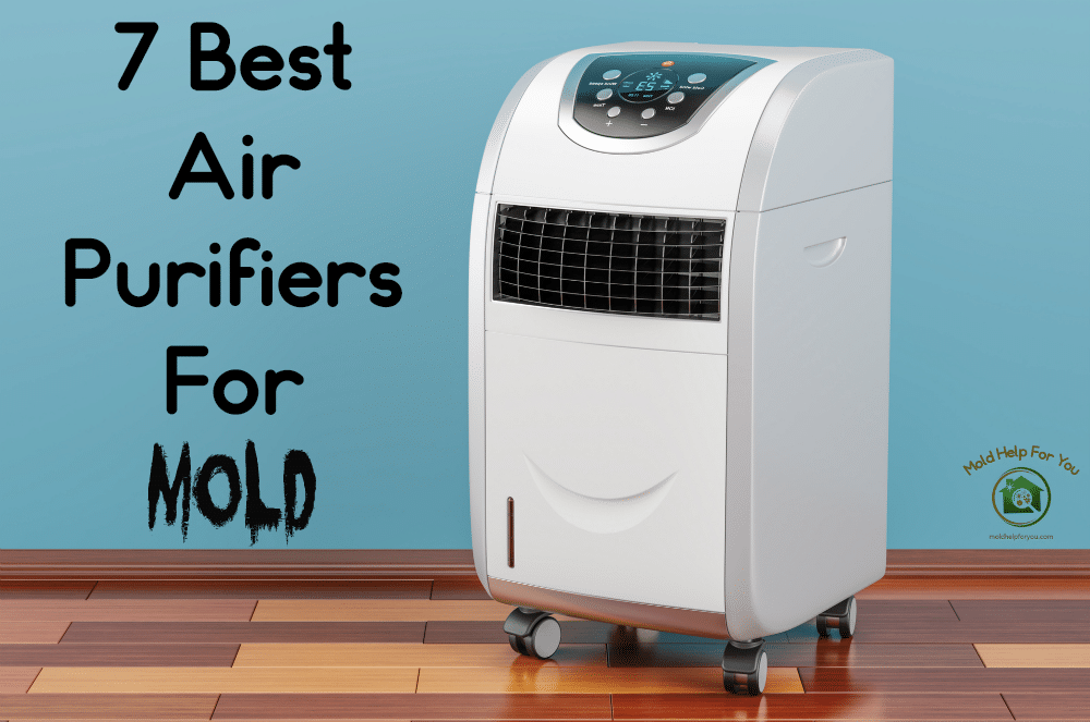 Best Free Air Purifier Advice by Maximus Airy – Your Mold-Free Expert