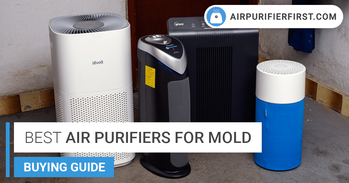 Best Free Air Purifier Advice by Maximus Airy – Your Mold-Free Expert