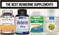 Best Berberine Supplement Advice by Darius Suppleton – Your Health Expert