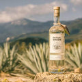 Best Mezcal Advice by Michael Mezcal – Your Spirits Expert