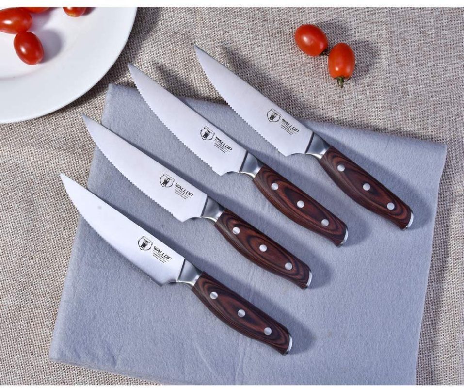 Best Steak Knives Advice by Ethan Bladefinder – Your Culinary Expert