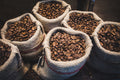 Best Coffee Bean Advice by Lucas Beanfinder – Your Coffee Expert