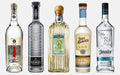 Best Free Tequila Advice by Tom Tequilero – Your Spirits Expert