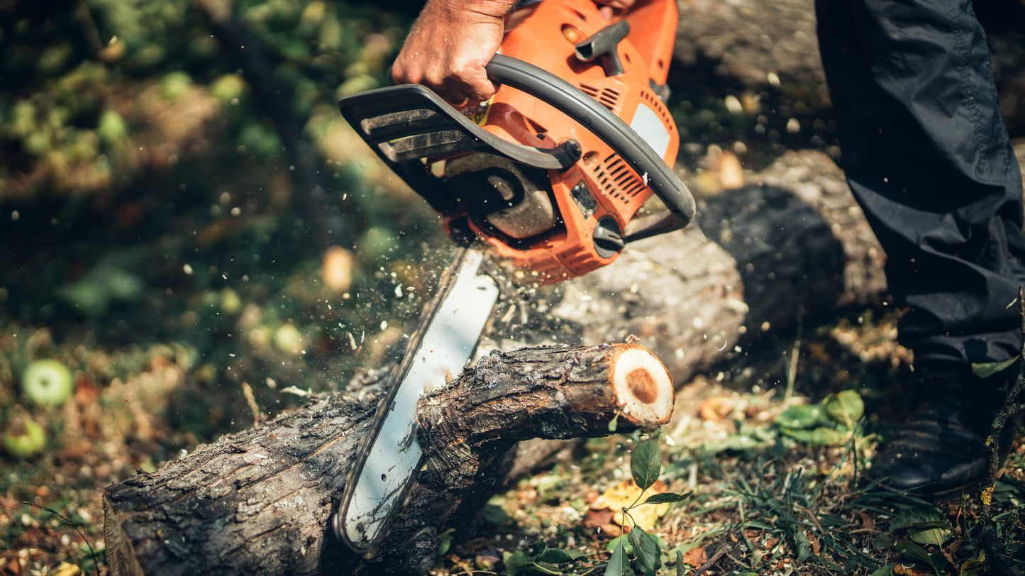 Best Chainsaw Advice by Marcus Timber – Your Logging Expert