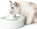 Best Cat Water Fountain Advice by Kevin Fountain – Your Pet Hydration Expert