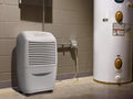 Best Basement Dehumidifier Advice by Daniel Humidist – Your Air Quality Expert