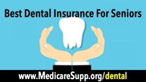 Best Free Advice by Yuki Dentale – Your Dental Insurance Expert