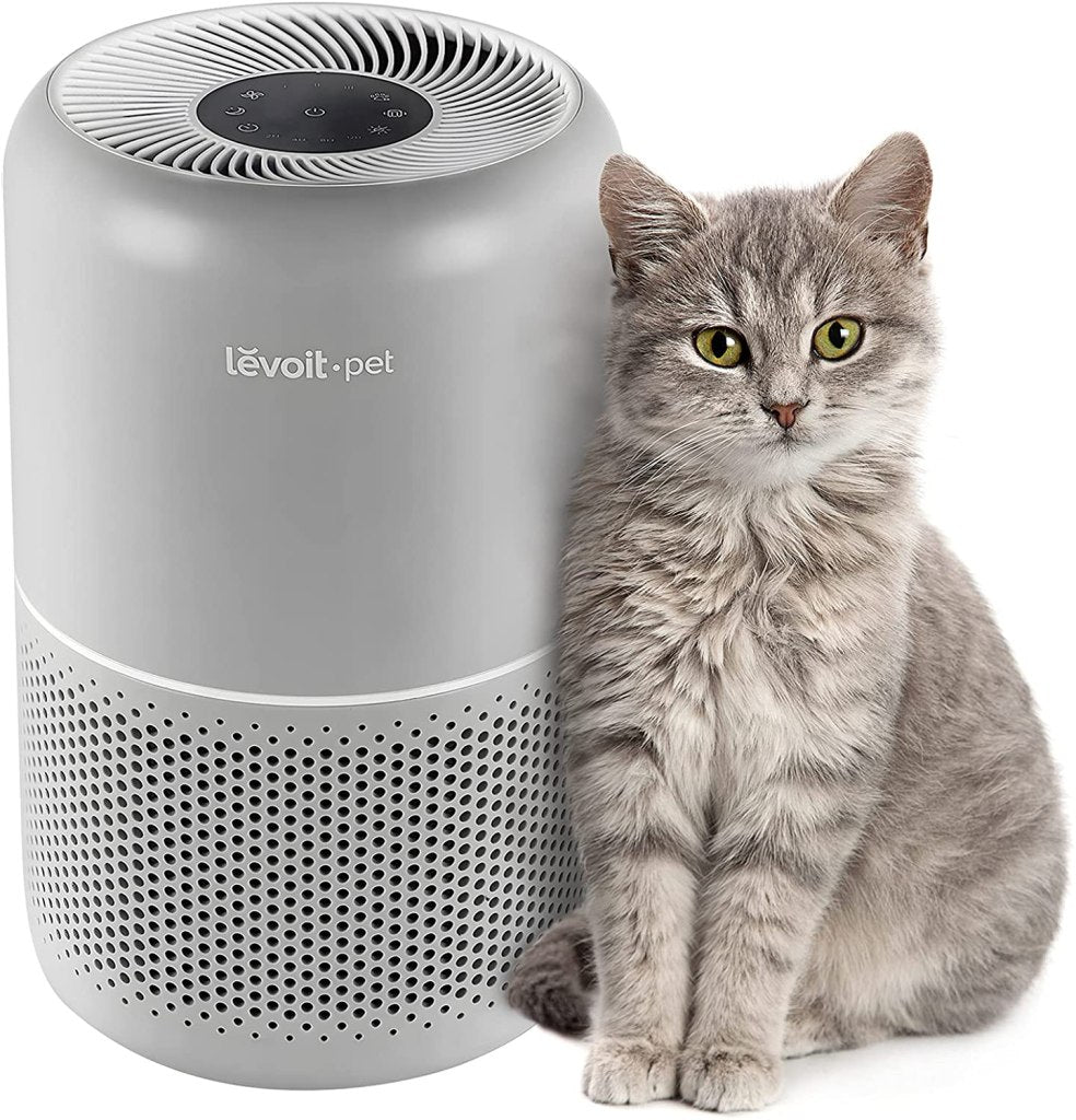 Best Air Purifier Advice by Alex Purify – Your Pet Clean Air Expert