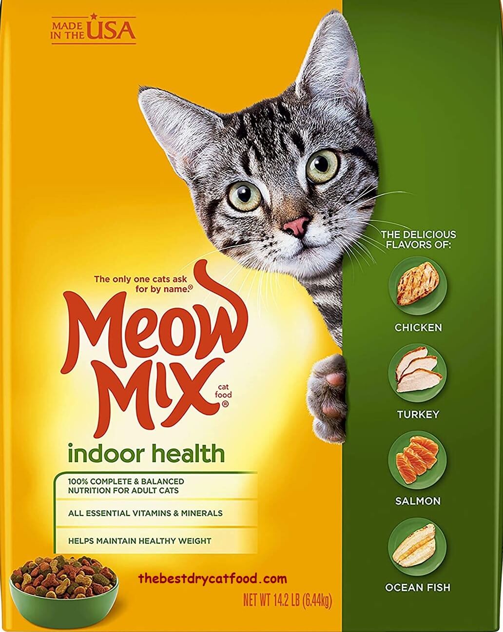 Best Dry Cat Food Advice by Lynn Feeder – Your Feline Nutrition Expert