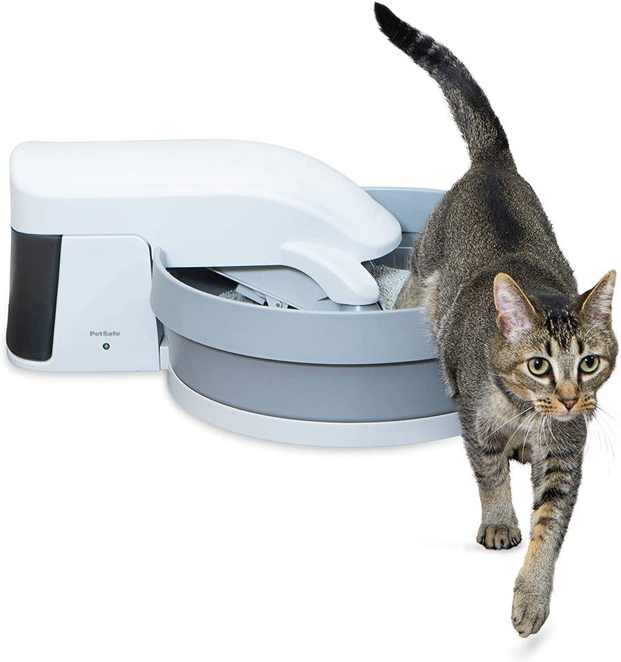 Best Self-Cleaning Litter Box Advice by Maria Litterbox – Your Pet Care Expert