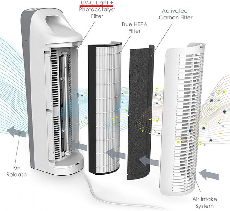 Best Free Air Purifier Advice by Maximus Airy – Your Mold-Free Expert