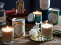 Best Candle Advice by Candace Wickham – Your Fragrance Expert