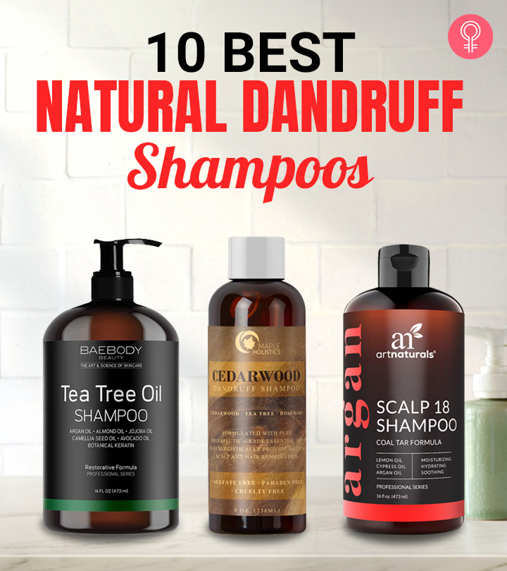 Best Free Advice by Shane Scalper – Your Anti-Dandruff Expert