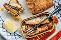 Best Canned Sardines Advice by Evan Sardine – Your Seafood Expert