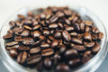 Best Coffee Bean Advice by Lucas Beanfinder – Your Coffee Expert