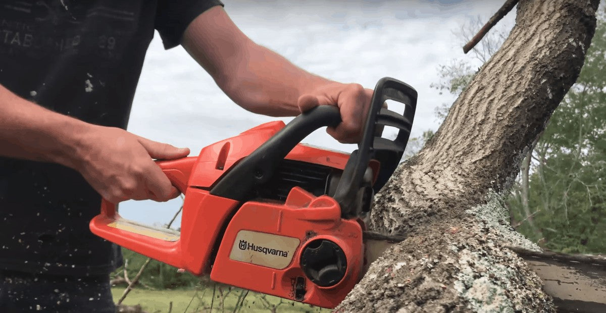 Best Chainsaw Advice by Marcus Timber – Your Logging Expert