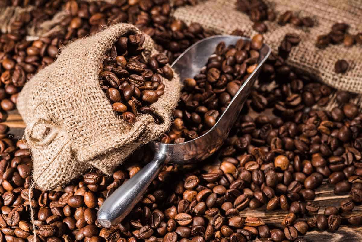 Best Coffee Bean Advice by Lucas Beanfinder – Your Coffee Expert