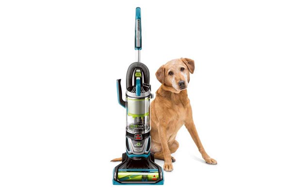 Best Cordless Vacuum Advice by Cindy Vacuum – Your Pet Hair Expert