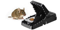 Best Mouse Traps Advice by Max Trapson – Your Pest Control Expert