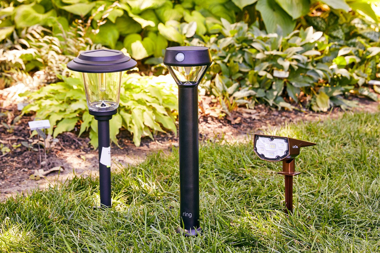 Best Free Expert Advice by Carlos Illuminator – Your Outdoor Solar Lights Expert