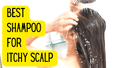 Best Free Advice by Aisha Scalpwell – Your Shampoo for Itchy Scalp Expert