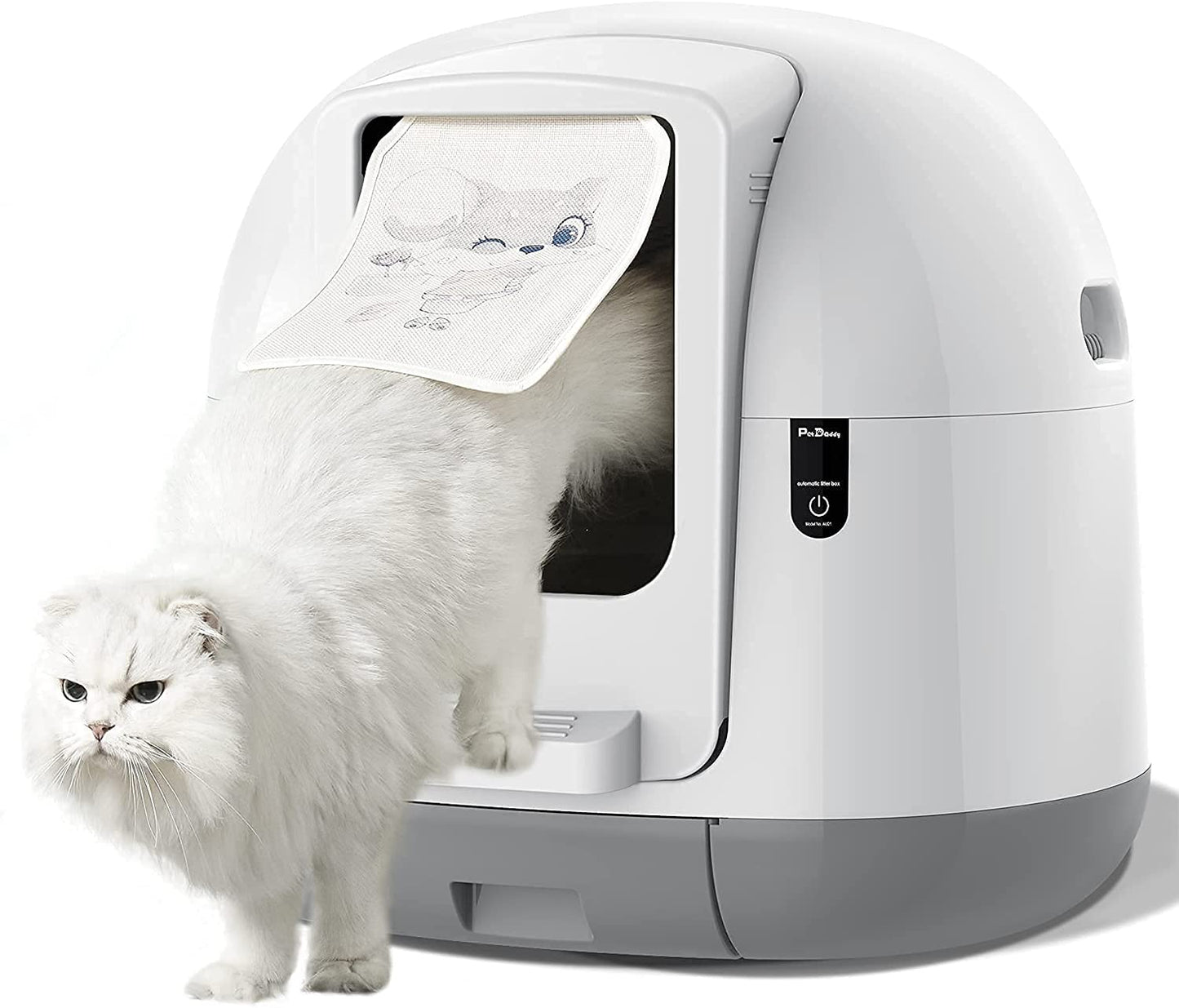 Best Self-Cleaning Litter Box Advice by Maria Litterbox – Your Pet Care Expert