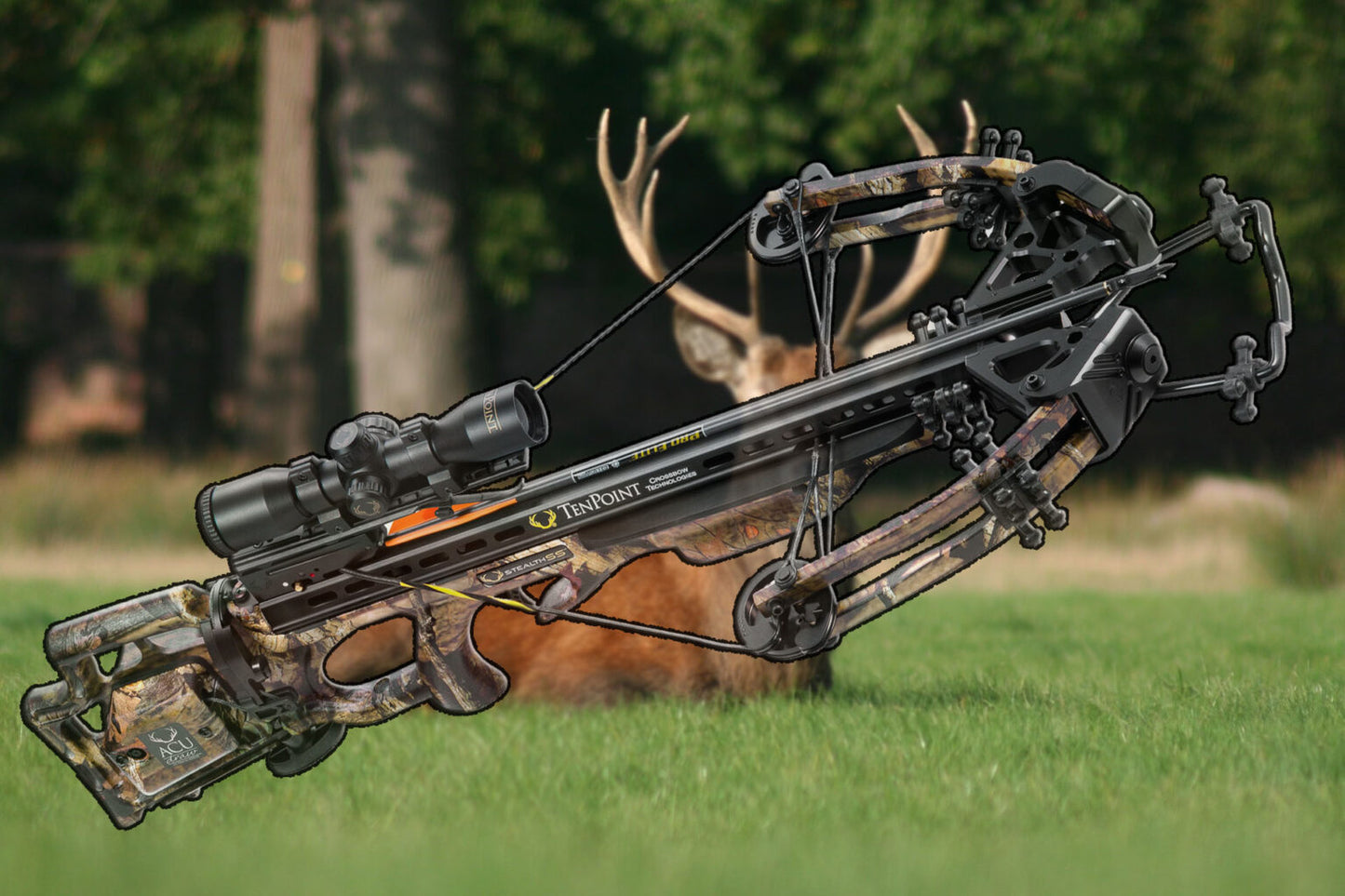 Best Crossbow Advice by Andy Cross – Your Archery Expert