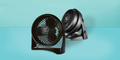 Best Fan Advice by Damon Fanmaster – Your Cooling Expert