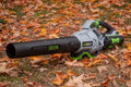 Best Leaf Blower Advice by Logan Blower – Your Outdoor Equipment Expert