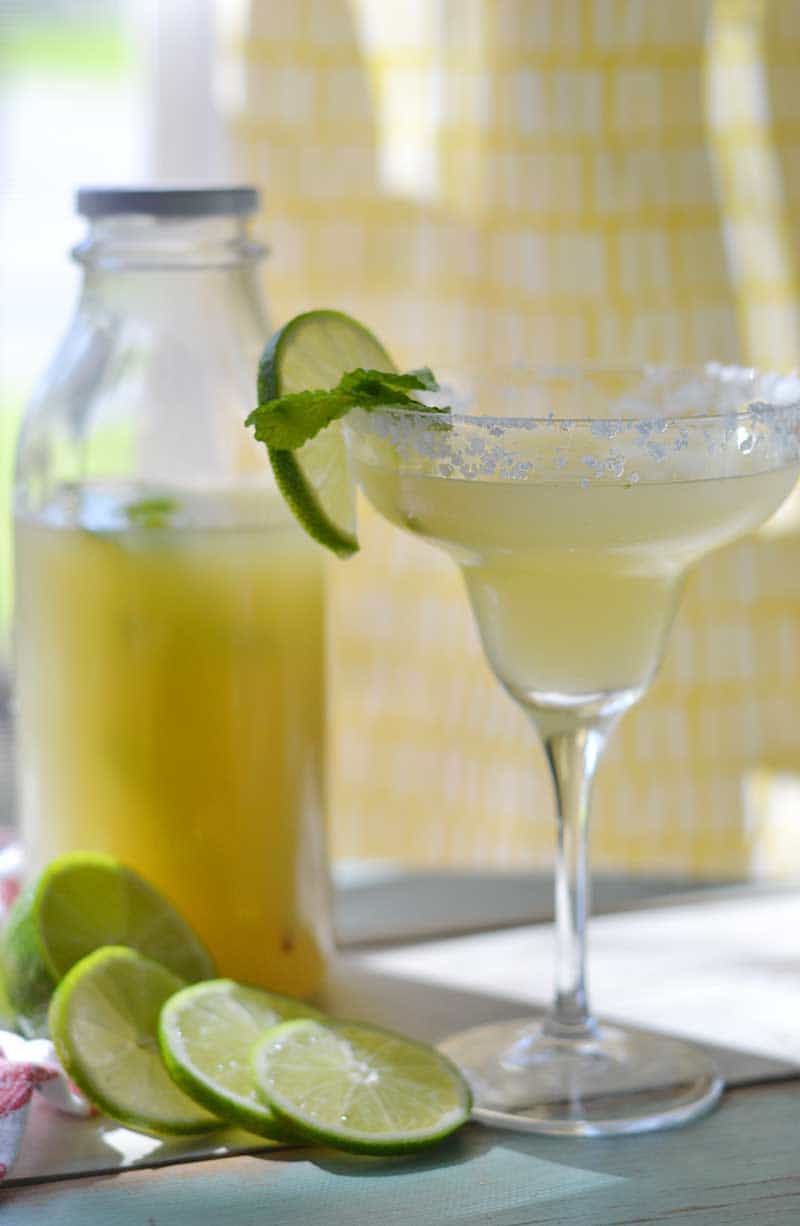 Best Margarita Mix Advice by Miguel Mixer – Your Cocktail Expert