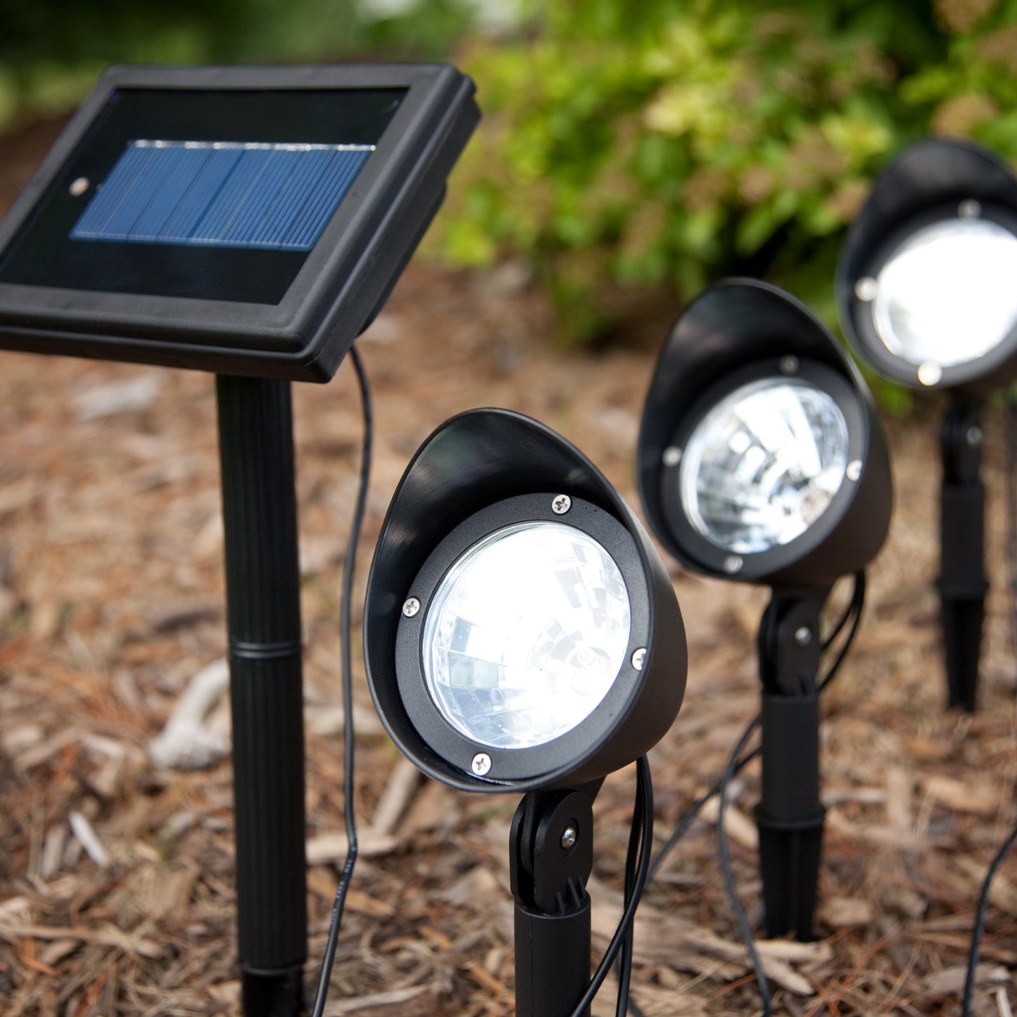 Best Free Expert Advice by Carlos Illuminator – Your Outdoor Solar Lights Expert