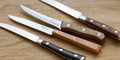 Best Steak Knives Advice by Ethan Bladefinder – Your Culinary Expert